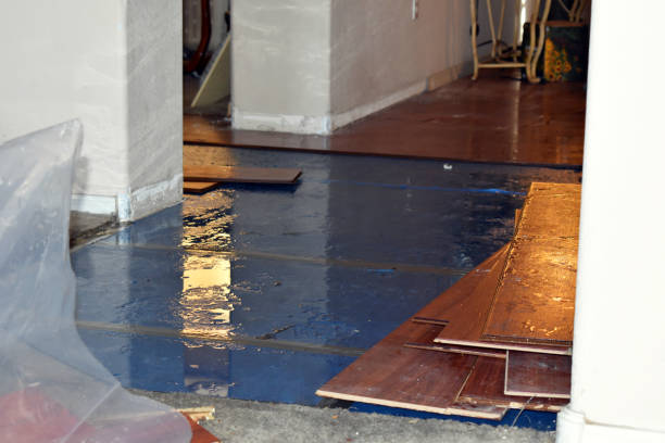 Professional Basement Flood Cleanup technician working in Saint Joseph, TN